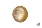Cats Eye (Lehsuniya) 4.66 Carat (5.18 Ratti) - Image 4