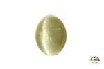Cats Eye (Lehsuniya) 3.33 Carat (3.70 Ratti)