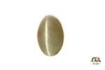 Cats Eye (Lehsuniya) 3.90 Carat (4.33 Ratti)