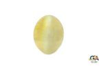 Cats Eye (Lehsuniya) 3.73 Carat (4.10 Ratti)