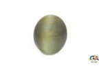 Cats Eye (Lehsuniya) 6.64Carat (7.30Ratti)