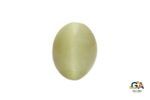 Cats Eye (Lehsuniya) 8.16Carat (8.97Ratti)