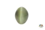 Cats Eye (Lehsuniya) 8.44Carat (9.28Ratti)