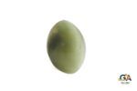 Cats Eye (Lehsuniya) 8.44Carat (9.28Ratti) - Image 2
