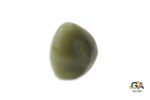 Cats Eye 8.64 Carat (Lehsuniya 9.50 Ratti) - Image 3