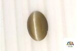 Cats Eye (Lehsuniya) 6.80 Carat (7.55 Ratti) - Image 2