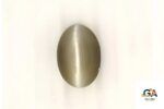 Cats Eye (Lehsuniya) 7.86 Carat (8.73 Ratti)