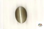 Cats Eye (Lehsuniya) 7.86 Carat (8.73 Ratti) - Image 2