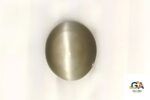 Cats Eye (Lehsuniya) 8.55 Carat (9.50 Ratti)