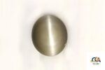 Cats Eye (Lehsuniya) 8.55 Carat (9.50 Ratti) - Image 2