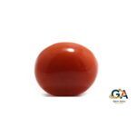 Red Coral 7.53 Carat (8.26 Ratti) Japanese - Image 3