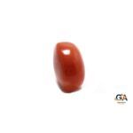 Red Coral 7.53 Carat (8.26 Ratti) Japanese - Image 5