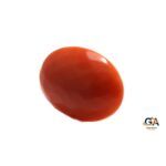 Red Coral 9.05 Carat (9.95 Ratti) - Image 3