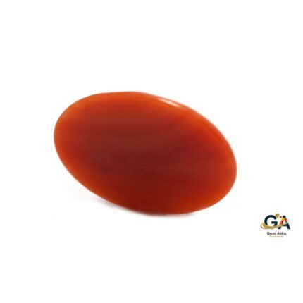 Red Coral 9.05 Carat (9.95 Ratti)