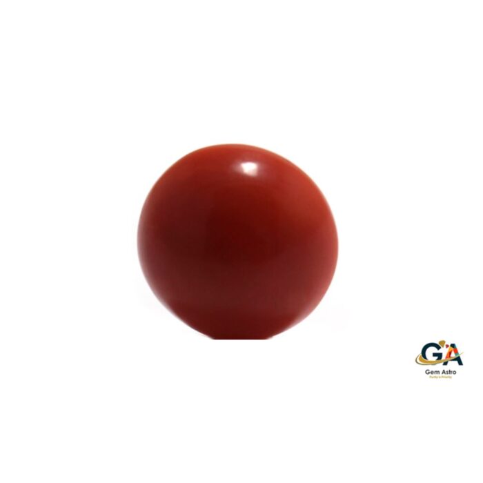 Red Coral 5.27 Carat (5.79 Ratti) - Image 3
