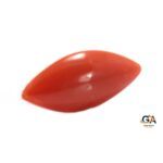 Red Coral 5.01 Carat (5.51 Ratti) - Image 2