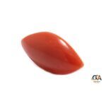 Red Coral 5.01 Carat (5.51 Ratti) - Image 3