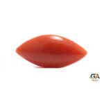 Red Coral 5.01 Carat (5.51 Ratti) - Image 4