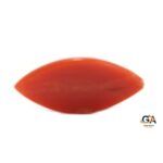 Red Coral 5.01 Carat (5.51 Ratti) - Image 5