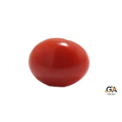 Red Coral 2.6 Carat (2.86 Ratti)
