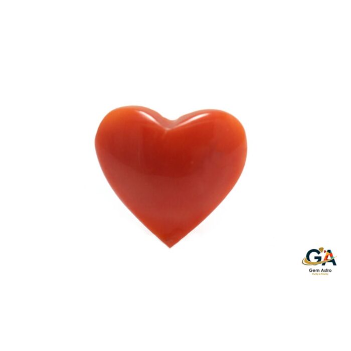 Red Coral 3.48 Carat (3.82Ratti) - Image 3