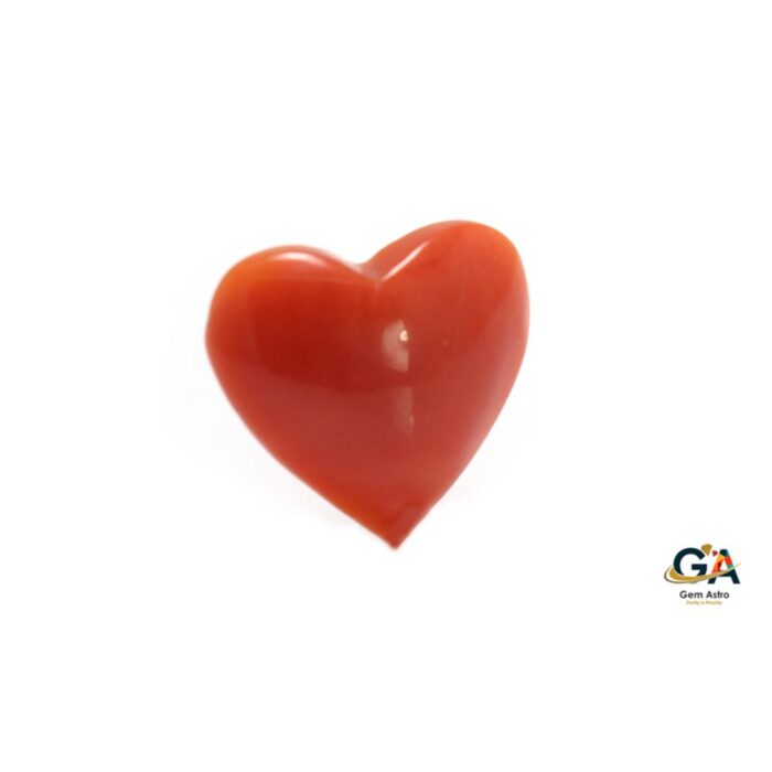 Red Coral 3.48 Carat (3.82Ratti) - Image 5