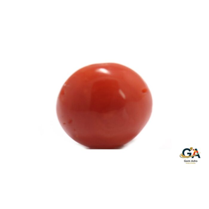Red Coral 7.85 Carat (8.63 Ratti) - Image 3