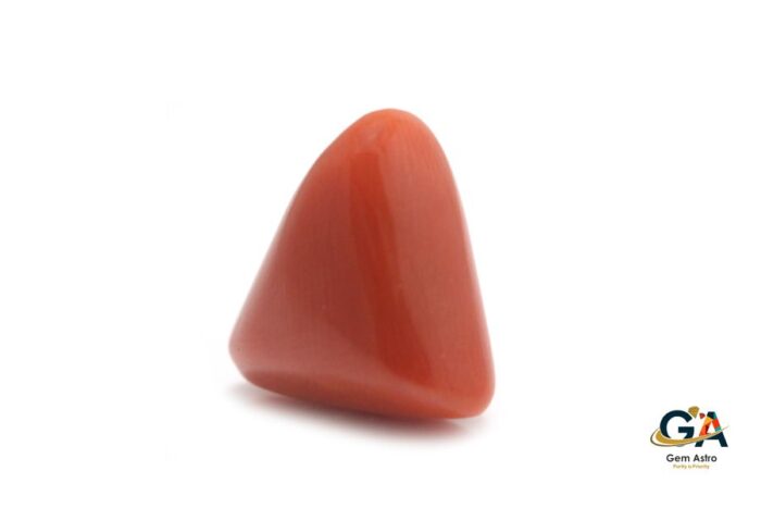 Red Coral (Moonga) 9.63Carat (10.59Ratti) - Image 3