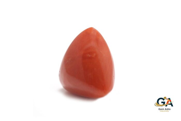 Red Coral (Moonga) 7.48Carat (8.22Ratti) - Image 3