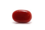 Red Coral (Moonga) 6.85 Carat (7.53 Ratti) - Image 2