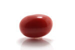 Red Coral (Moonga) 5.50 Carat (6.05 Ratti)