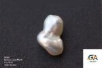 Natural Keshi Pearl (Moti) 9.42 Carat (10.36 Ratti) - Image 2