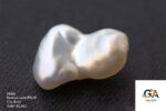 Natural Keshi Pearl (Moti) 9.42 Carat (10.36 Ratti) - Image 4