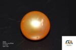 Golden South Sea Pearl (Moti) 6.93 Carat (7.62 Ratti) - Image 2
