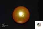 Golden South Sea Pearl (Moti) 7.89 Carat (8.67 Ratti) - Image 2