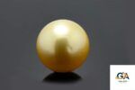 Golden South Sea Pearl (Moti) 10.40 Carat (11.44 Ratti) - Image 2