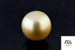 Golden South Sea Pearl (Moti) 10.62 Carat (11.70 Ratti) - Image 2
