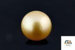 Golden South Sea Pearl (Moti) 8.02 Carat (8.82 Ratti)