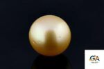 Golden South Sea Pearl (Moti) 8.02 Carat (8.82 Ratti) - Image 2