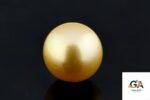 Golden South Sea Pearl (Moti) 8.02 Carat (8.82 Ratti) - Image 3