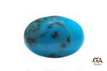 Turquoise (Firoza) 10.58Carat (11.63Ratti)