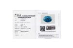 Turquoise (Firoza)11.98 Carat (13.14Ratti) - Image 2