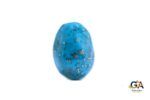 Turquoise (Firoza)11.98 Carat (13.14Ratti) - Image 3