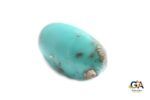 Turquoise (Firoza)31.73 Carat (34.91 Ratti) - Image 3