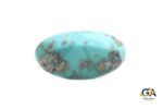 Turquoise (Firoza)31.73 Carat (34.91 Ratti) - Image 4
