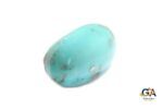 Turquoise (Firoza)31.73 Carat (34.91 Ratti) - Image 5