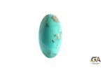 Turquoise (Firoza)31.73 Carat (34.91 Ratti) - Image 6