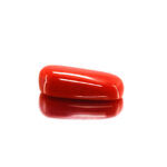 Red Coral (Moonga) 7.56 Carat (8.32 Ratti)