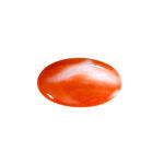 Natural Japanese Coral 8.30 Carat (9.13 Ratti) Moonga - Image 4