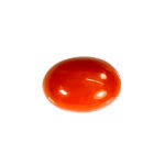 Natural Japanese Coral 5.28 Carat (5.81 Ratti) Moonga - Image 4